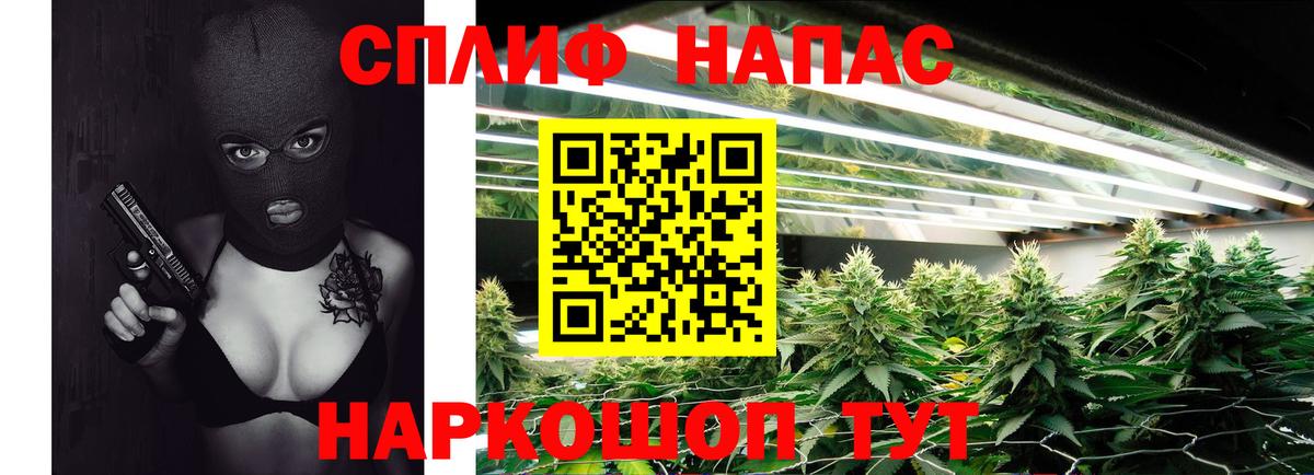 Бошки Шишки Amnesia  Марихуана White Widow  МАРИХУАНА Amnesia  Вход с VPN  Волхов  Марихуана конопля 